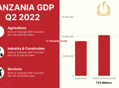 Tanzania GDP Q2 2022
