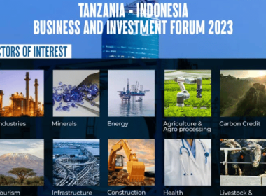 Tanzania-Indonesia Business & Investment Forum 2023