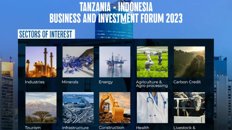 Tanzania-Indonesia Business & Investment Forum 2023