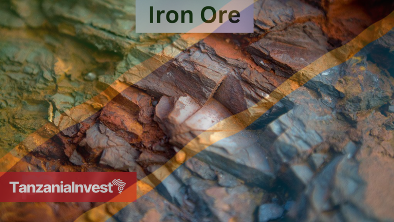 Tanzania Iron Ore