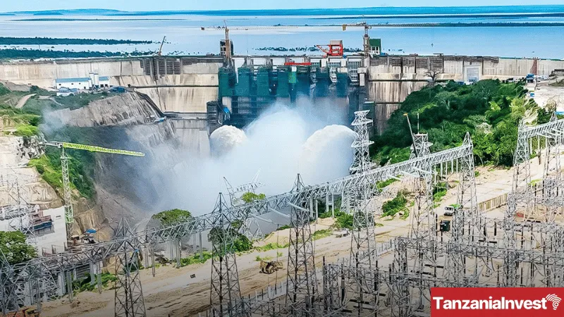 Tanzania Julius Nyerere Hydropower Project