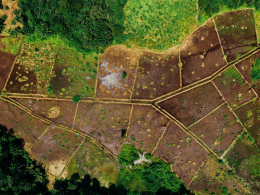 Tanzania Land