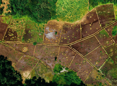 Tanzania Land