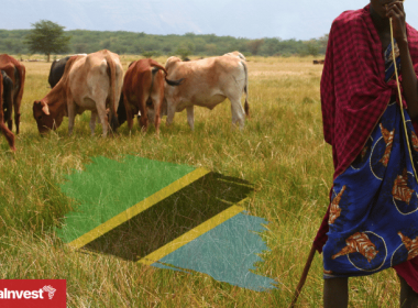 Tanzania livestock