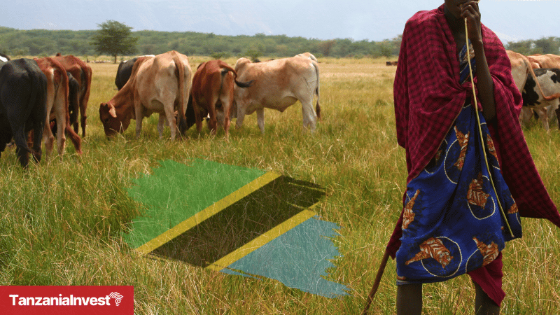 Tanzania livestock
