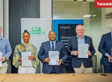 Tanzania Mahenge Graphite Project Financing DBSA IDC CRDB