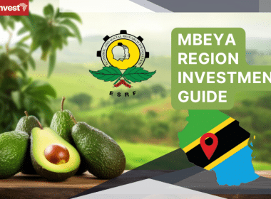 Tanzania Mbeya Region Investment Guide