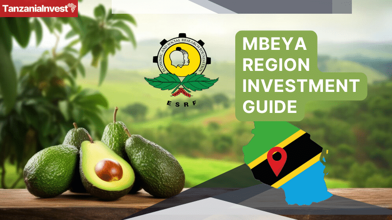 Tanzania Mbeya Region Investment Guide