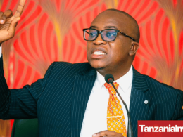 Tanzania Mining Minister Anthony Mavunde