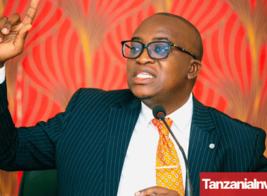 Tanzania Mining Minister Anthony Mavunde