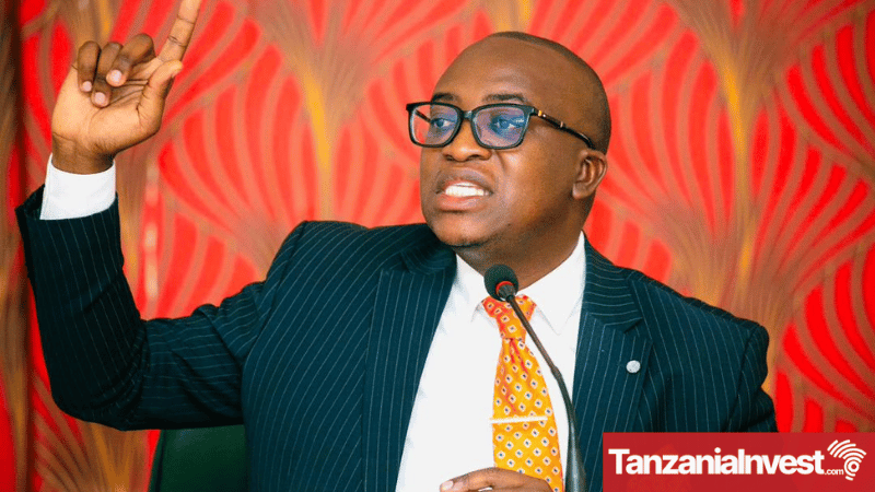 Tanzania Mining Minister Anthony Mavunde