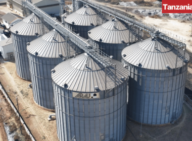 Tanzania new Katavi grain silos
