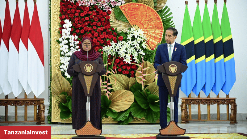 Tanzania Samia Suluhu Hassan with Joko Widodoof Indonesia