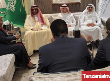 Tanzania Saudi Talks WEF 2024
