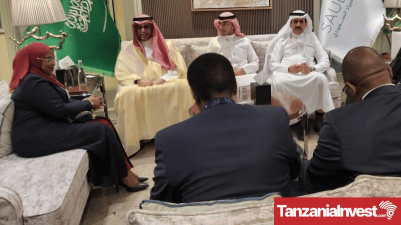 Tanzania Saudi Talks WEF 2024