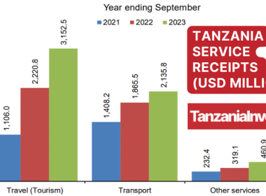 Tanzania Service Receipts September 2023