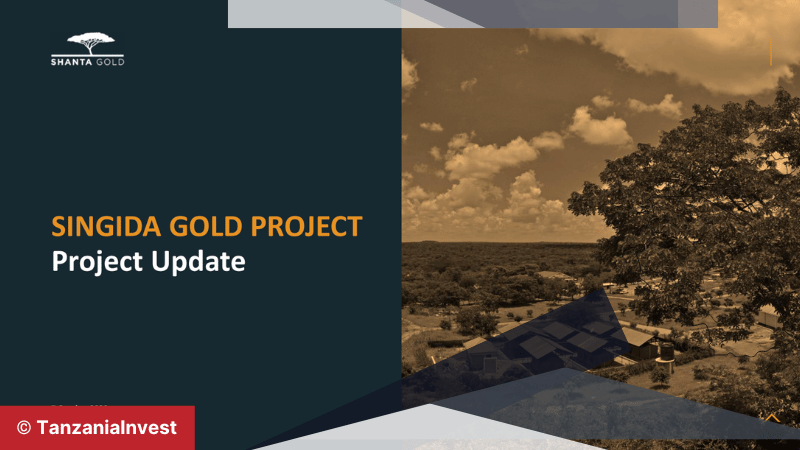 Singida Gold Project Update