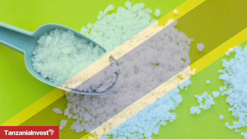Tanzania Soda Ash Project