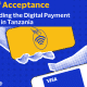 Tanzania Visa Report Digital Payments