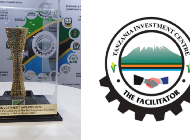 TIC Tanzania Best Investment Agency Africa 2024