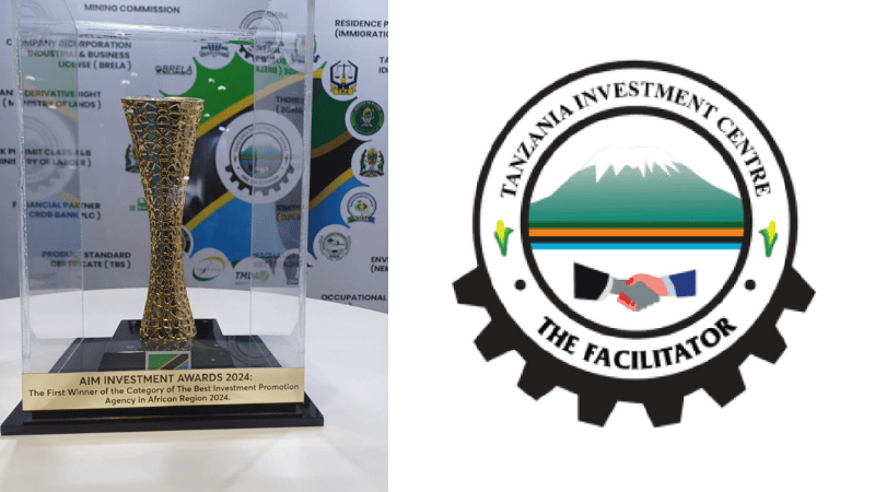 TIC Tanzania Best Investment Agency Africa 2024