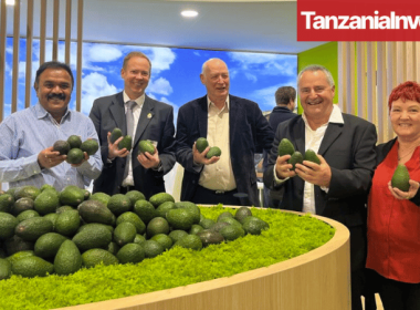 Westfalia Tanzanian Avocados in India