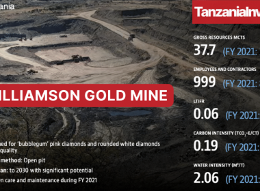 WILLIAMSON GOLD MINE TANZANIA