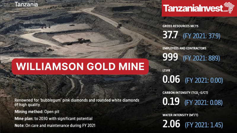 WILLIAMSON GOLD MINE TANZANIA