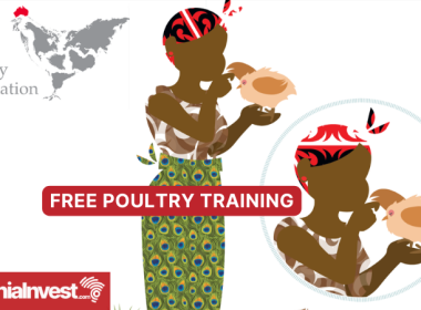 WPF Free Poultry Training for Africa