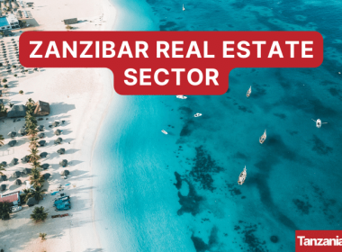 Zanzibar Real Estate Sector