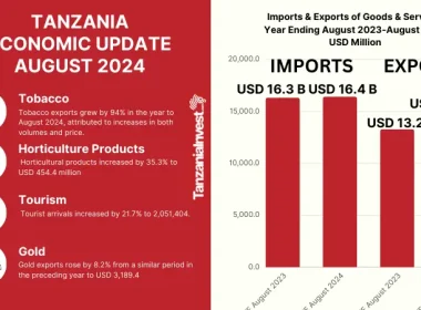 TANZANIA ECONOMIC UPDATE AUGUST 2024